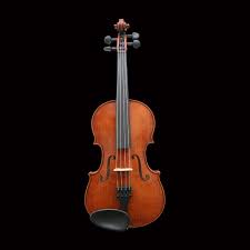 Image result for Viola