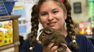 Edward Blaha, 2019 Teacher of the Year