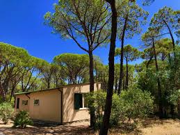 202 likes · 2 talking about this · 4 were here. Villa In Affitto A Castiglione Della Pescaia Con Piscina
