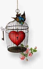 bird cage heart bird cage decor bird cage cage