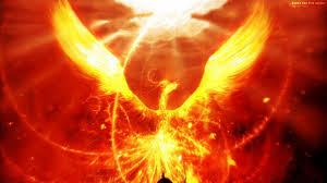 Phoenix Bird Of Fire Fire Art Phoenix Wallpaper Phoenix Bird