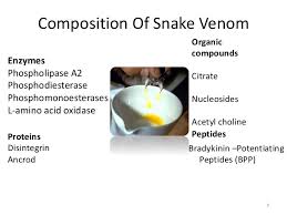Image result for snake venom