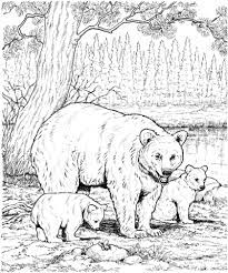 You can now print this beautiful happy young polar bear coloring page or color online for free. American Black Bear Family Bear Coloring Pages Bear Coloring Family Coloring Pages