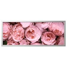 Bjorksta Gerahmtes Bild Rosa Pfingstrosen Aluminiumfarben Ikea Deutschland Rosa Pfingstrosen Pfingstrosen Bilder