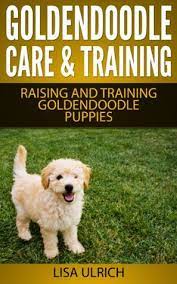 Simple and effective ways to make your goldendoodle happy, healthy, and obedient. Goldendoodle Care Training The Complete Guide On Raising Training Caring For Goldendoodle Puppies By Lisa Ulrich