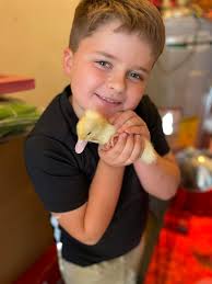 My New baby. musk chick i believe He/she will live with 2 chicks and 1 duck