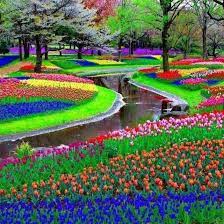 ما عليك سوى تحميل صورة. ØµÙˆØ± Ù‡ÙˆÙ„Ù†Ø¯Ø§ Photos Facebook