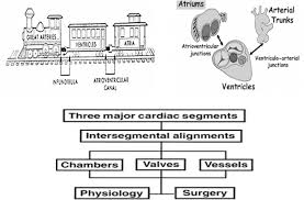 Review Of Mnemonic Devices And Their Applications In