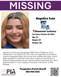 Angelica Lutz's Instagram, Twitter & Facebook