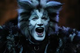 Cats' regular finds familiarity in feline