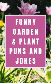 Garden Puns And Garden Jokes To Make You Giggle Growing Family We can't stop the aging process but this selection of old age jokes and quotes which will help you see the funny side of growing old.