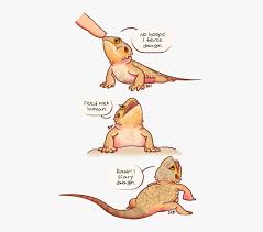 Lizard lackey:sure thing boss, ill bring the mealworms bearded dragon: Cute Bearded Dragon Drawing Hd Png Download Transparent Png Image Pngitem