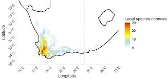 Image result for Zygotritonia atropurpurea