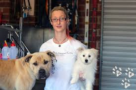 Check spelling or type a new query. My Pampered Pooches Salon Home Facebook