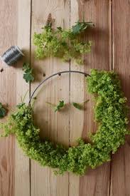 Frauenmantel Deko Kranz Binden Fur Den Sommer Anleitung Fur Einen Naturlichen Kranz Aus Naturmaterialien Ein Sommerkranze Kranz Binden Naturliche Dekoration