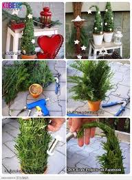 Pflanzendeko Weihnachten Weihnachtsdeko Weihnachten Deko Weihnachten