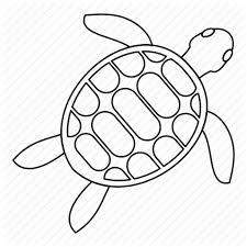 Animal Line Outline Sea Thin Turtle White Icon Download On Iconfinder Embed this art into your website: animal line outline sea thin turtle white icon download on iconfinder