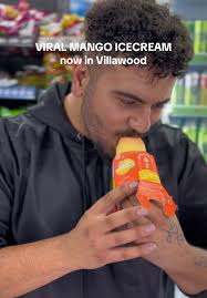 Experience Exciting Go Karting and Mango Ice Cream in Villawood