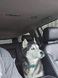 It's 20 people in the line and one cashier at the register, what store am  I?