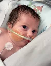 Weston Aaron Neil Aaron Burchett Obituary (2025)