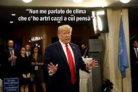 images?q=tbn:ANd9GcRL6H3PrCyYo5_CEf7lHiq