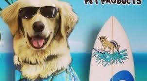 Precisely formulated to support a healthy digestive system. Lucy Pet Products Dog Shampoo And Conditioner Petsweekly Com