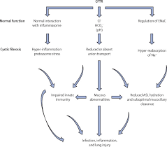 Guidelines for diagnosis of cystic fibrosis in newborns through older adults: Cystic Fibrosis Sciencedirect
