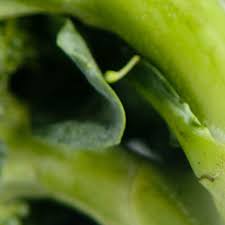 Ya puedes descargar 4 fotos una palabra creado por lotum gmbh desde los siguientes enlaces y comenzar a. 4 Little Squares Nivel 1 Palabra 15 Game Solver