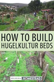 How to build a permaculture fruit tree guild. How To Build Hugelkultur Beds And Why You Need Them New Life On A Homestead