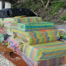 News source: Outre-mer La 1ère