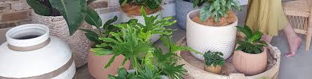 Picking The Perfect Pot Flower Power