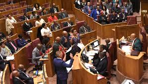 Belinda bozzoli is deputy vice chancellor (research) at the university of the witwatersrand, johannesburg. Da Mp Belinda Bozzoli Digs Herself Into A Hole Over Anc Singing Power 98 7