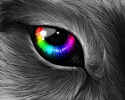Boyeah Baby Rainbow Wolf Eye Wolf Eyes Wolf Eye Drawing Painting Techniques