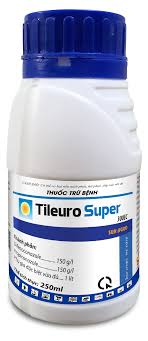 Tileuro super 300EC