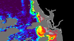 Red tide maps show few spots in southwest florida red tide map, update: Solving Florida S Red Tide Mystery Aerospace America