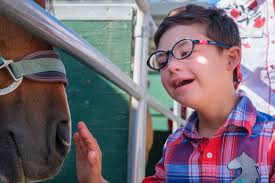 Blog 2 — Xenophon Therapeutic Riding Center