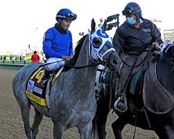 While the horse is currently in the preakness field, trainer bob baffert and organizers are awaiting the results of additional tests. Essential Quality King Fury To Skip Preakness Stakes Bloodhorse