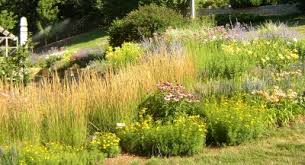Additionally, butterflylgc offers rare plants, seasonal color, perennials, landscaping, and impeccable maintenance. Creating A Butterfly Garden Design