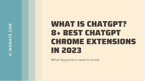 How To Download XX Videos?The Following XX Videos Downloaders You Should  Know