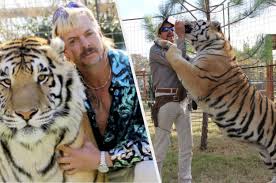 Trivia quizzes are a great way to work out your brain, maybe even learn something new. 16 Tiger King Trivia And Behind The Scenes Facts