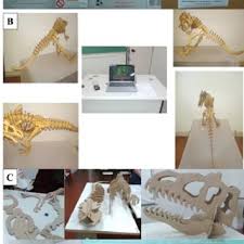 While we try to show. Pdf Cardboard Dinosaur The Use Of Simple Three Dimensionality And Macroscopy Tools As A Low Cost Strategy For Presentation Of Classical Biological Themes