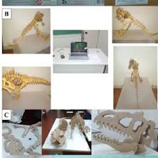 Always press l3+r3 (left stick + right stick) when near them with eagle eye to highlight these collectibles. Pdf Cardboard Dinosaur The Use Of Simple Three Dimensionality And Macroscopy Tools As A Low Cost Strategy For Presentation Of Classical Biological Themes
