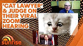 A texas lawyer made waves online this week when he accidentally set his zoom filter to that of an adorable kitten. Lawyer Uses Zoom Filter By Mistake I M Not A Cat Bbc News Youtube