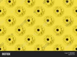 Maybe you would like to learn more about one of these? Daisies Chamomile Image Photo Free Trial Bigstock