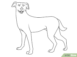 رسم كلب - wikiHow