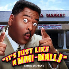 It's Just Like a Mini Mall: Sammy Stephens: Amazon.ca: Music