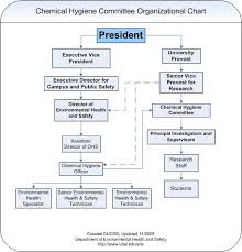 Organizational Chart Environmental Health Safety