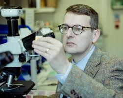 Daniel Berney's Instagram, Twitter & Facebook