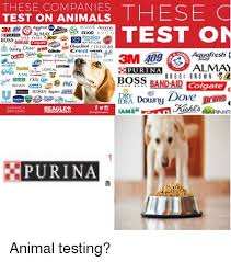 Pin Op Quotes Vivisection Tests On Animals