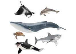 Schleich Sea Animals This Wonderful Schleich Sea Animals Kit Includes Various Sea Life Such As Whales A Shark And A Dolphin